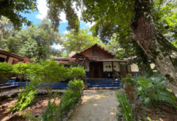 Fachada del Museo de la Ballena durante la renovación.